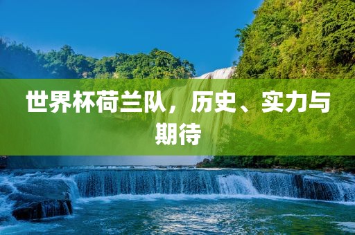 世界杯荷兰队，历史、实力与期待