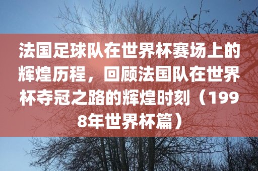 法国足球队在世界杯赛场上的辉煌历程，回顾法国队在世界杯夺冠之路的辉煌时刻（1998年世界杯篇）