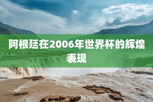 阿根廷在2006年世界杯的辉煌表现