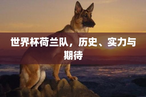 世界杯荷兰队，历史、实力与期待