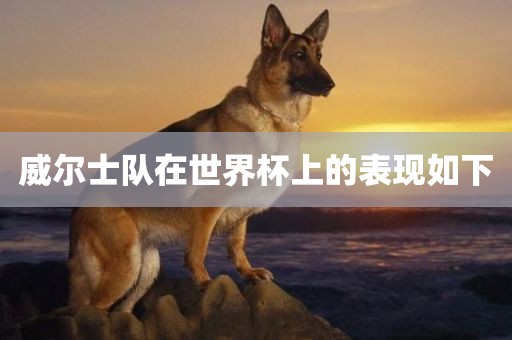 威尔士队在世界杯上的表现如下