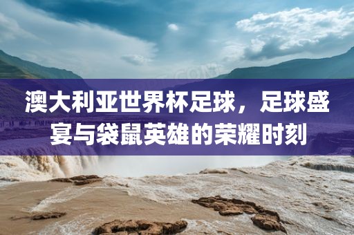 澳大利亚世界杯足球，足球盛宴与袋鼠英雄的荣耀时刻
