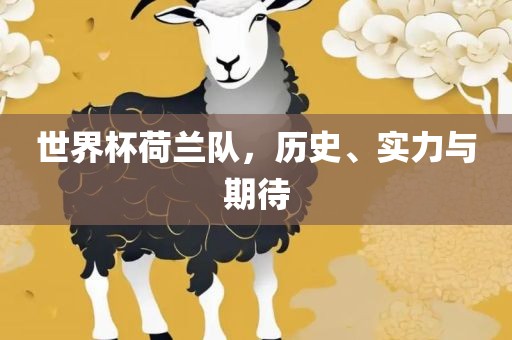 世界杯荷兰队，历史、实力与期待