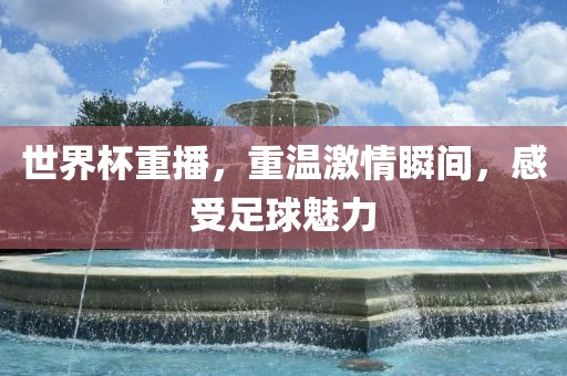 世界杯重播，重温激情瞬间金炬实业股份有限公司，感受足球魅力