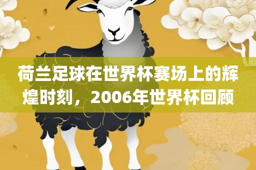 荷兰足球在世界杯赛场上的辉煌时刻，2006年世界杯回顾