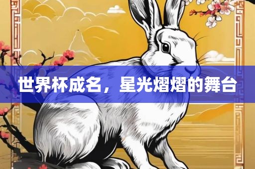 世界杯成名，星光熠熠的舞台