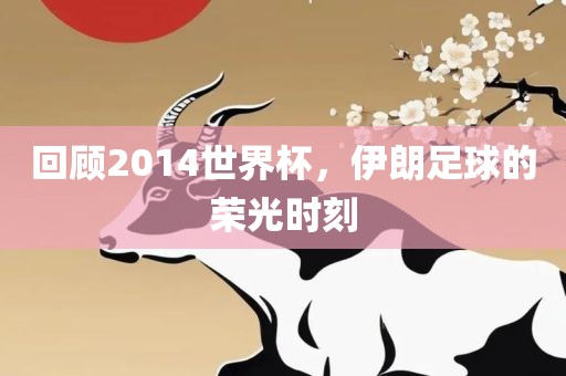 回顾2014世界杯，伊朗足球的荣光时刻