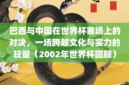 巴西与中国在世界杯赛场上的对决，一场跨越文化与实力的较量（2002年世界杯回顾）