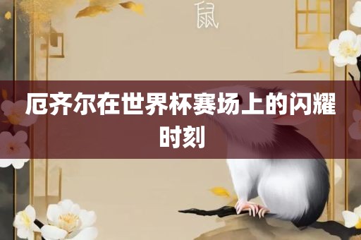 厄齐尔在世界杯赛场上的闪耀时刻