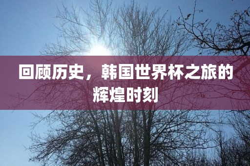 回顾历史，韩国世界杯之旅的辉煌时刻