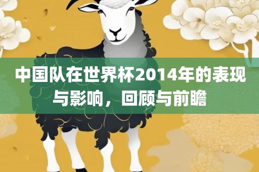 中国队在世界杯2014年的表现与影响，回顾与前瞻