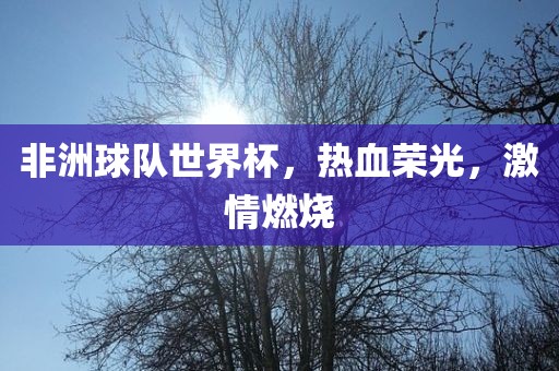 非洲球队世界杯，热血荣光，激情燃烧