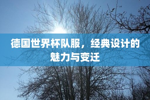 德国世界杯队服，经典设计的魅力与变迁金炬实业股份有限公司