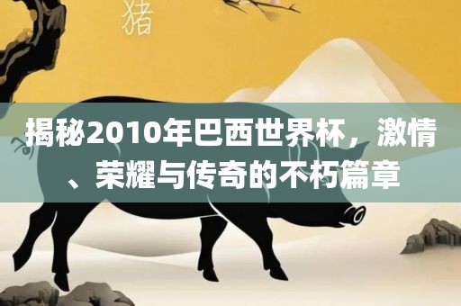 揭秘2010年巴西世界杯，激情、荣耀与传奇的不朽篇章