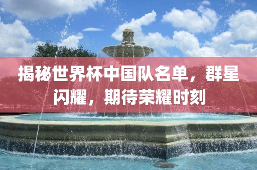 揭秘世界杯中国队名单，群星闪耀，期待荣耀时刻