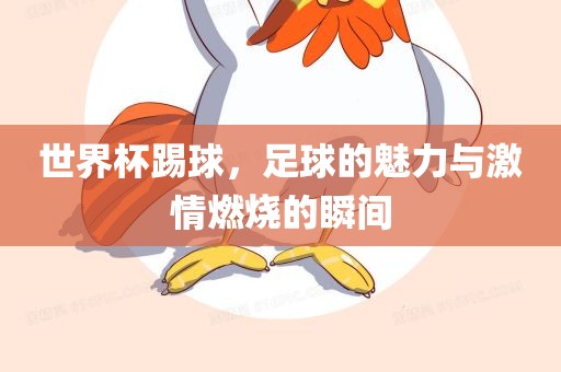 世界杯踢球，足球的魅力与激情燃烧的瞬间