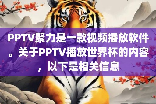 PPTV聚力是一款视频播放软件。关于PPTV播放世界杯的内容，以下是相关信息金炬实业股份有限公司