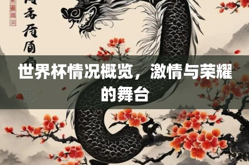 世界杯情况概览，激情与荣耀的舞台