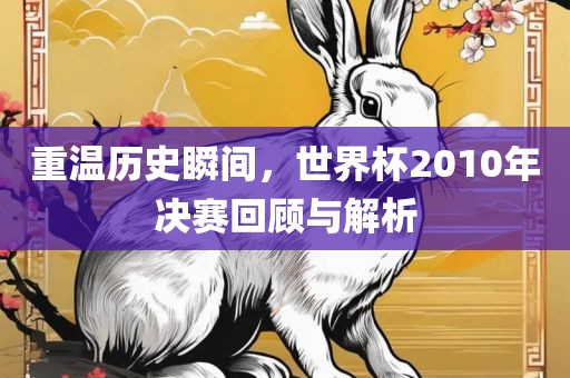重温历史瞬间，世界杯2010年决赛回顾与解析金炬实业股份有限公司