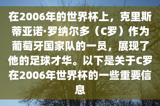在2006年的世界杯上，克里斯蒂亚诺·罗纳尔多（C罗）作为葡萄牙国家队的一员，展现了他的足球才华。以下是关于C罗在2006年世界杯的一些重要信息金炬实业股份有限公司