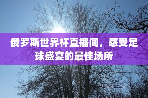 俄罗斯世界杯直播间，感受足球盛宴的最佳场所