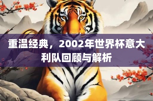 重温经典，2002年世界杯意大利队回顾与解析