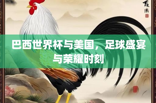 巴西世界杯与美国，足球盛宴与荣耀时刻金炬实业股份有限公司