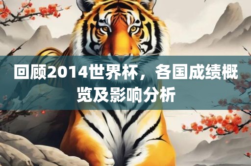 回顾2014世界杯，各国成绩概览及影响分析