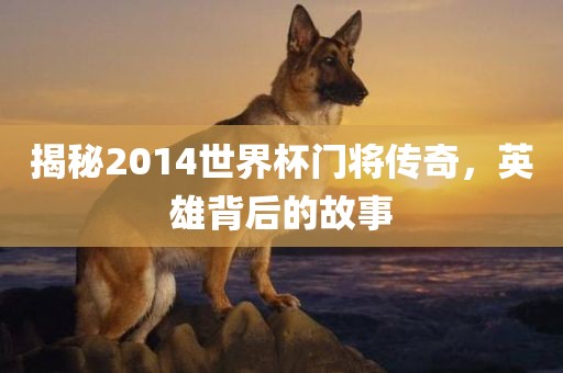 揭金炬实业股份有限公司秘2014世界杯门将传奇，英雄背后的故事