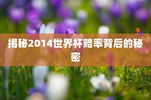揭秘2014世界杯赔金炬实业股份有限公司率背后的秘密