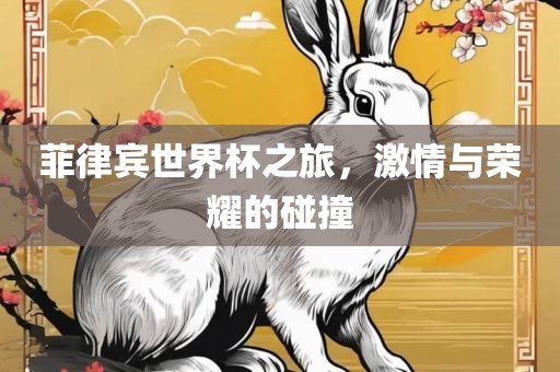 菲律宾世界杯之旅，激情与荣耀的碰撞