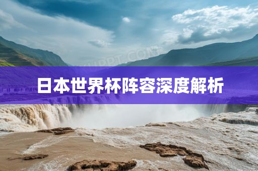 日本世界杯阵容深度解析