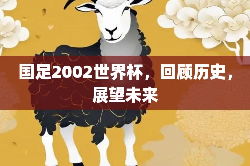 国足2002世界杯，回顾历史，展望未来金炬实业股份有限公司