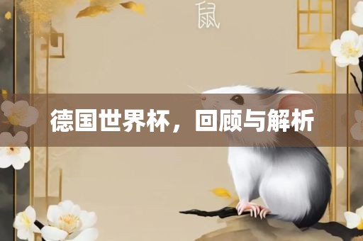 德国世界杯，回顾与解析