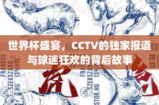 世界杯盛宴，CCTV的独家报道与球迷狂欢的背后故事