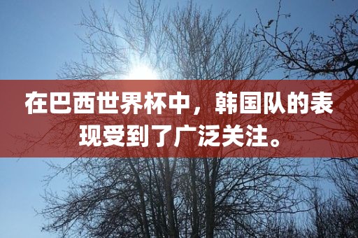 在巴西世界杯中，韩国队的表现受到了广泛关注。
