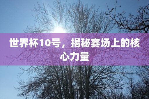 世界杯10号，揭秘赛场上的核心力量