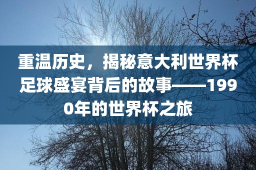 重温历史，揭秘意大利世界杯足球盛宴背后的故事——1990年的世界杯之旅