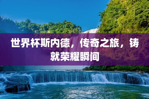 世界杯斯内德，传奇之旅，铸就荣耀瞬间