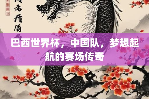 巴西世界杯，中国队，梦想起航的赛场传奇