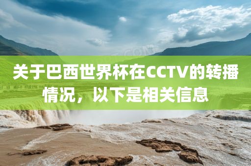 关于巴西世界杯在CCTV的转播情况，以下是相关信息