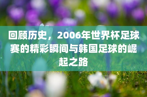 回顾历史，2006年世界杯足球赛的精彩瞬间与韩国足球的崛起之路