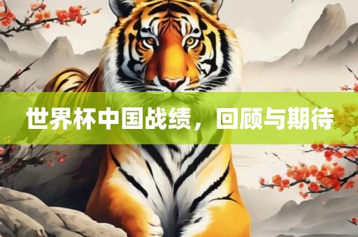 世界杯中国战绩，回顾与期待