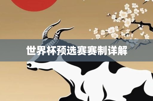 世界杯预选赛赛制详解