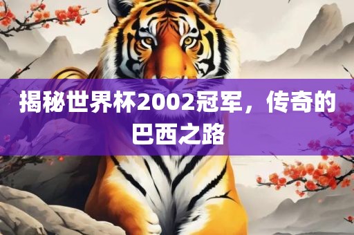 揭秘世界杯2002冠军，传奇的巴西之路