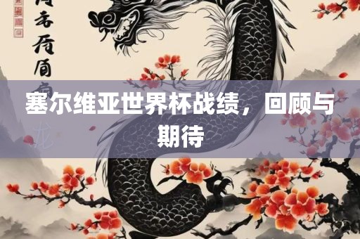 塞尔维亚世界杯战绩，回顾与期待