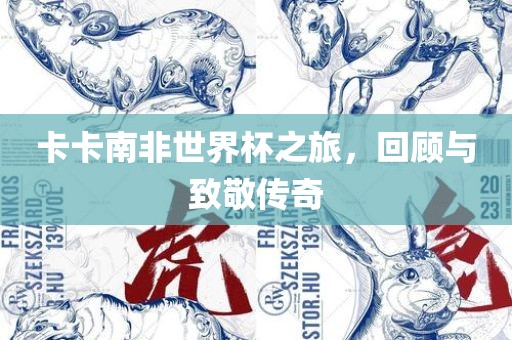 卡卡南非世界杯之旅，回顾与致敬传奇