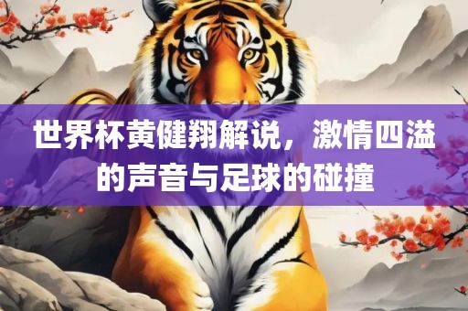世界杯黄健翔解说，激情四溢的声音与足球的碰撞