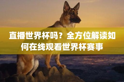直播世界杯吗？全方位解读如何在线观看世界杯赛事