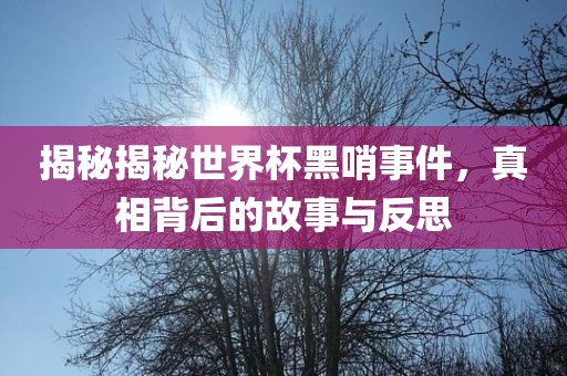揭秘揭秘世界杯黑哨事件，真相背后的故事与反思